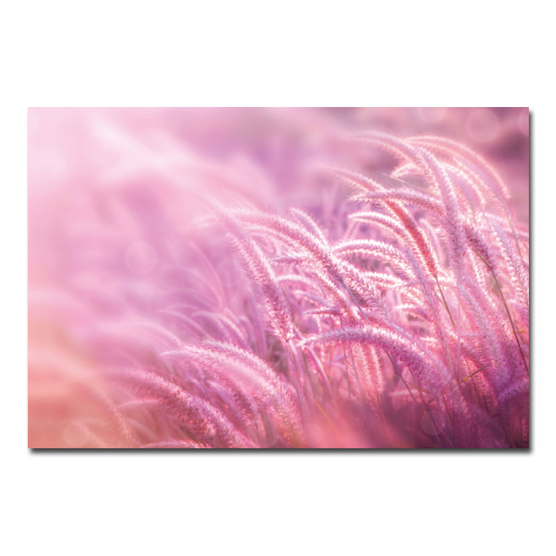 Wandbild Blumen und Pflanzen Pinkfarbenes Gras 00008-a