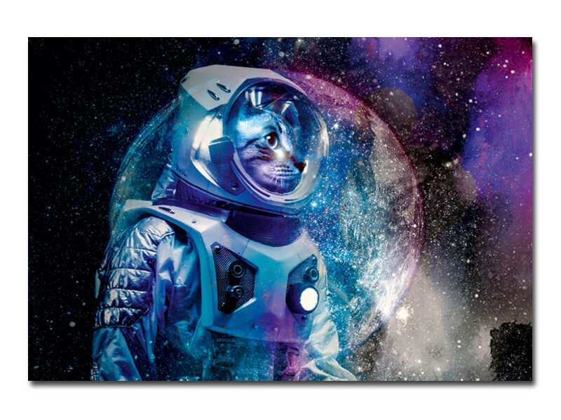 Wandbild – Spacecat Explorer
