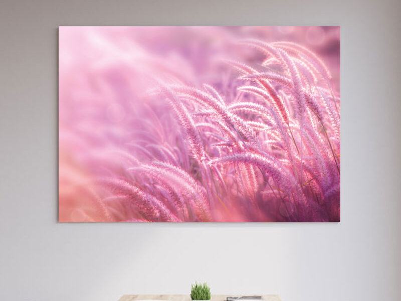 Wandbild – Pinkfarbenes Gras