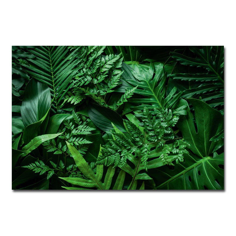 Wandbild Blumen und Pflanzen Sammlung Farnblätter Dschungel 00011-a